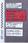 Etiketten zu Alaolacon cyanipennis (NHMW-ZOO-COL-0010251)